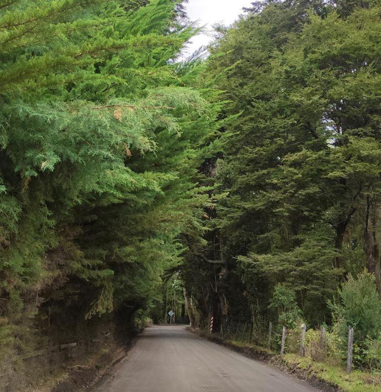 Cabana Ensenada, Puerto Varas - 1 Ambiente Eksteriør bilde